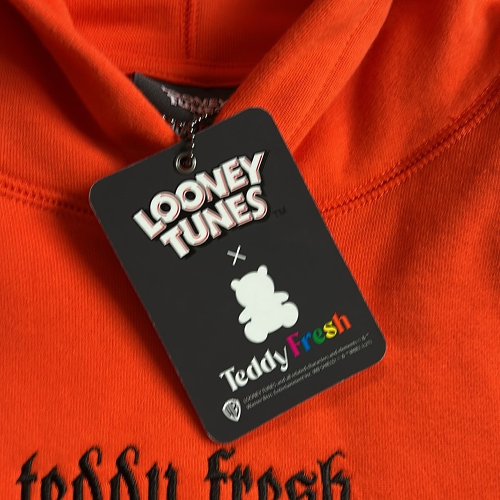 Teddy Fresh Looney Tunes Tweety Bird Embroidered Hoodie - Picture 7 of 8